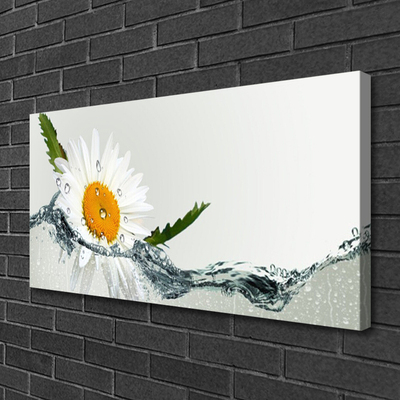 Foto op canvas Daisy waterplant