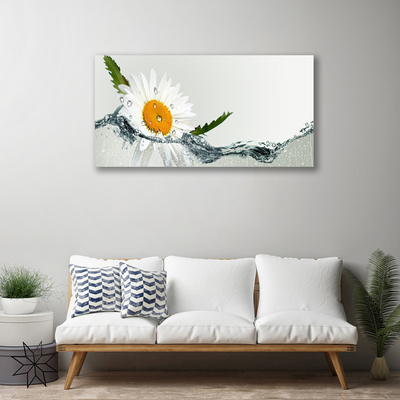 Foto op canvas Daisy waterplant