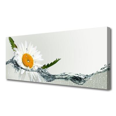 Foto op canvas Daisy waterplant