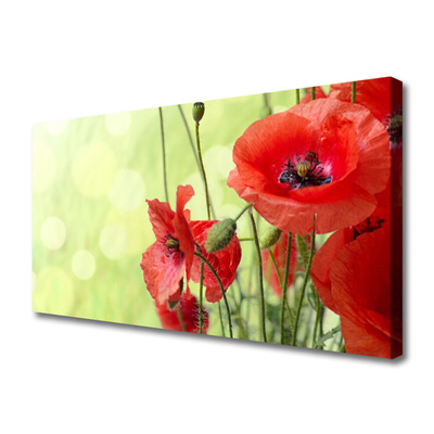 Foto op canvas Klaprozen bloemen nature plant