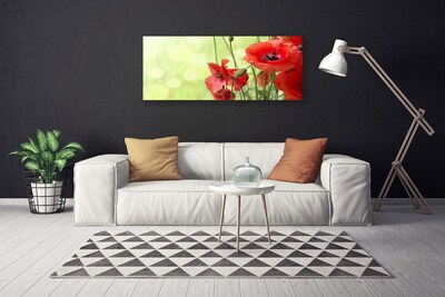 Foto op canvas Klaprozen bloemen nature plant