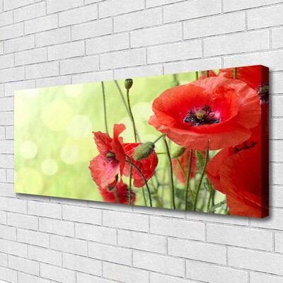 Foto op canvas Klaprozen bloemen nature plant