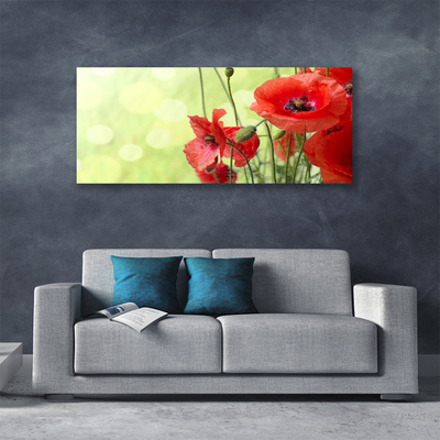 Foto op canvas Klaprozen bloemen nature plant