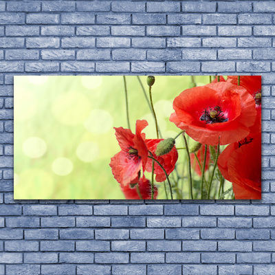 Foto op canvas Klaprozen bloemen nature plant