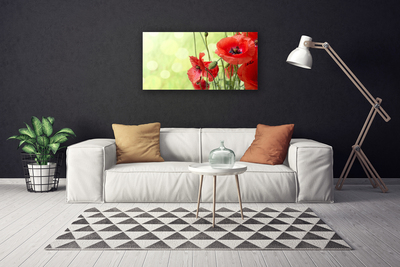 Foto op canvas Klaprozen bloemen nature plant