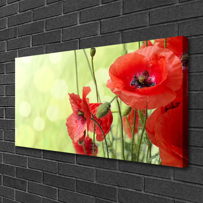 Foto op canvas Klaprozen bloemen nature plant