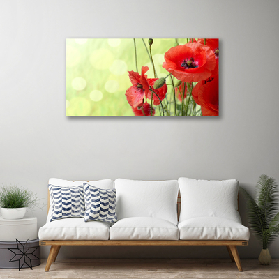 Foto op canvas Klaprozen bloemen nature plant