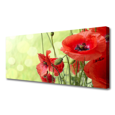 Foto op canvas Klaprozen bloemen nature plant