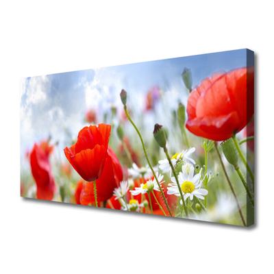 Foto op canvas Poppies daisies flowers