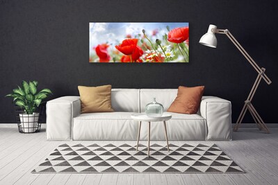 Foto op canvas Poppies daisies flowers