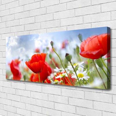 Foto op canvas Poppies daisies flowers