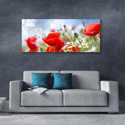 Foto op canvas Poppies daisies flowers