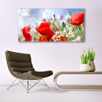 Foto op canvas Poppies daisies flowers