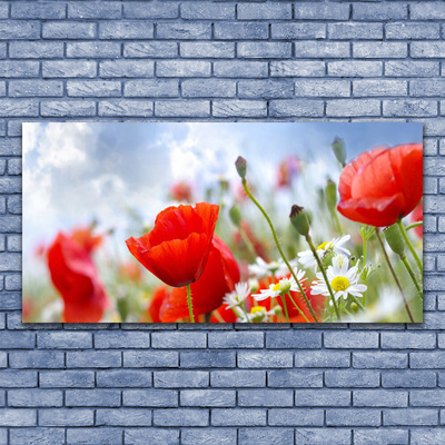 Foto op canvas Poppies daisies flowers