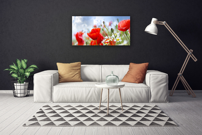 Foto op canvas Poppies daisies flowers