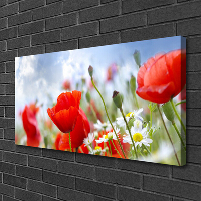 Foto op canvas Poppies daisies flowers