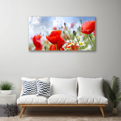 Foto op canvas Poppies daisies flowers