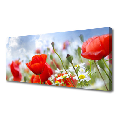 Foto op canvas Poppies daisies flowers