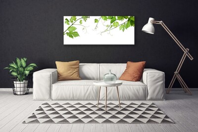 Foto op canvas Takken bladeren natuur bloemen