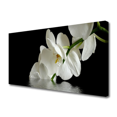 Foto op canvas Orchidee bloemen in het water