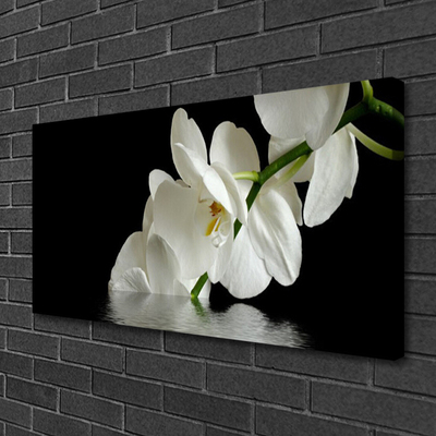 Foto op canvas Orchidee bloemen in het water