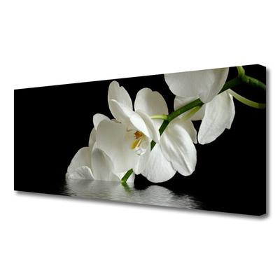 Foto op canvas Orchidee bloemen in het water