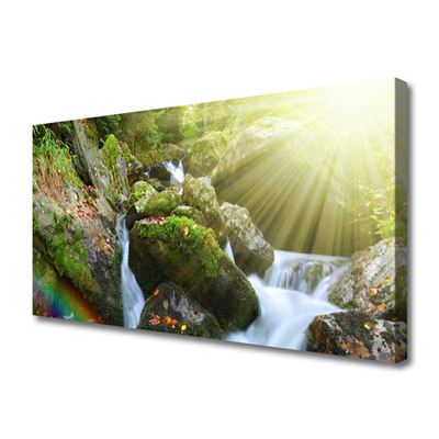 Foto op canvas Rainbow waterfall nature streamen