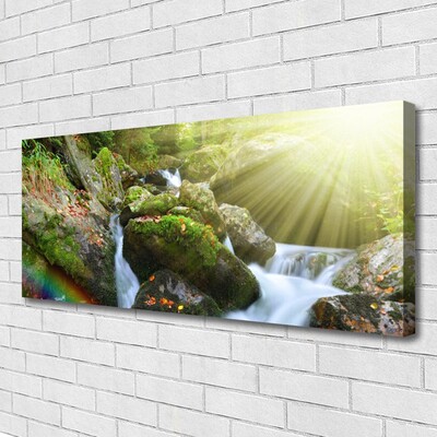 Foto op canvas Rainbow waterfall nature streamen