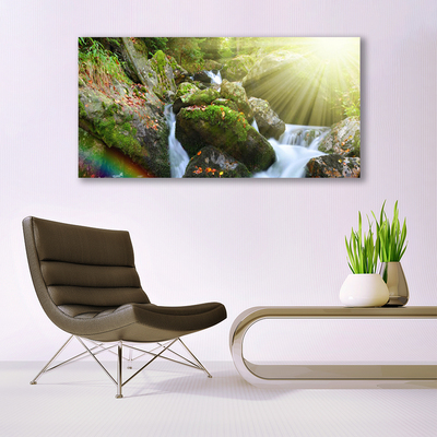 Foto op canvas Rainbow waterfall nature streamen