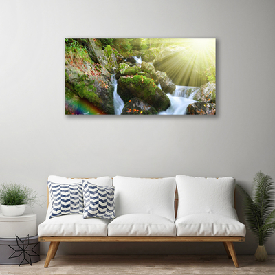 Foto op canvas Rainbow waterfall nature streamen