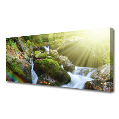 Foto op canvas Rainbow waterfall nature streamen