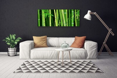 Foto op canvas Bamboe bamboe forest nature