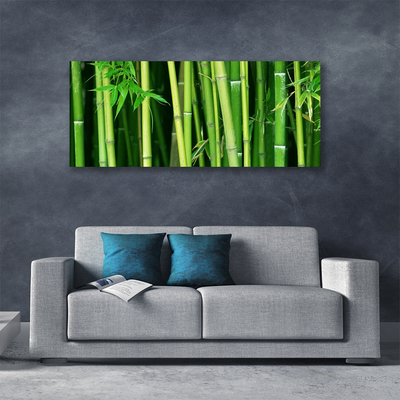 Foto op canvas Bamboe bamboe forest nature