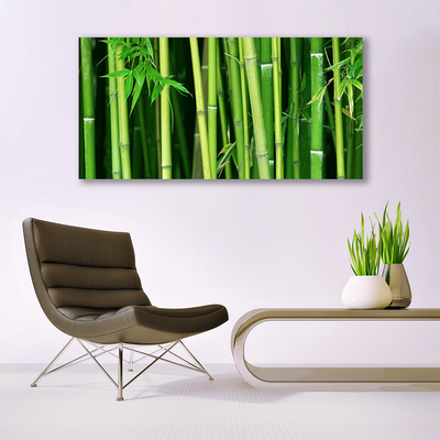 Foto op canvas Bamboe bamboe forest nature