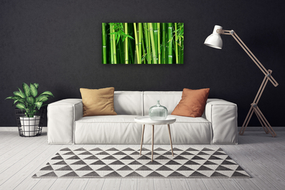 Foto op canvas Bamboe bamboe forest nature