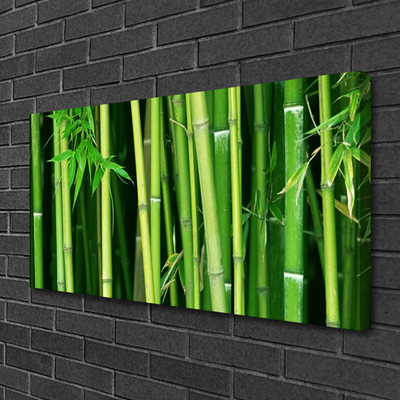 Foto op canvas Bamboe bamboe forest nature