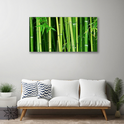 Foto op canvas Bamboe bamboe forest nature