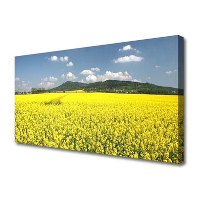 Foto op canvas Veld weide natuur koolzaad