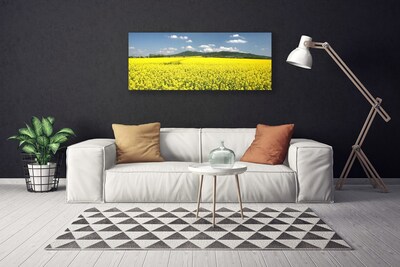 Foto op canvas Veld weide natuur koolzaad