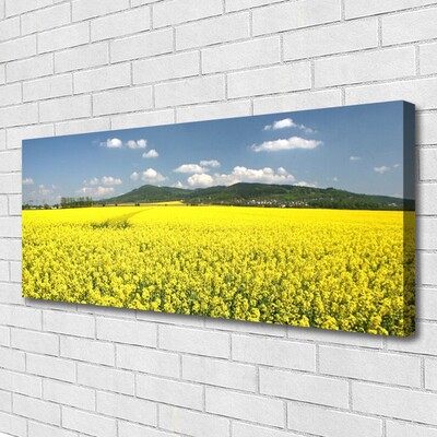 Foto op canvas Veld weide natuur koolzaad