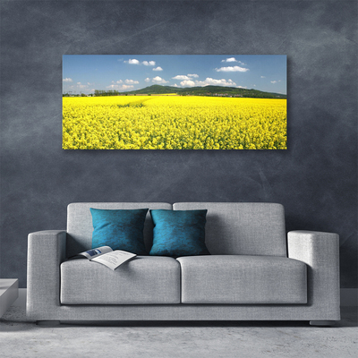 Foto op canvas Veld weide natuur koolzaad