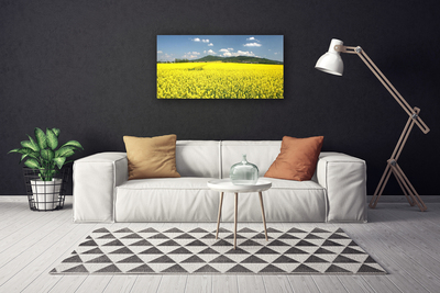 Foto op canvas Veld weide natuur koolzaad