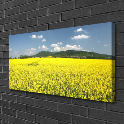 Foto op canvas Veld weide natuur koolzaad