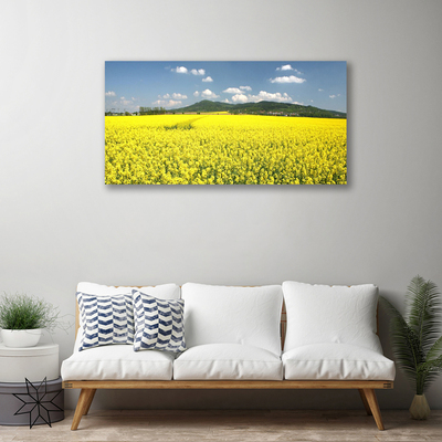 Foto op canvas Veld weide natuur koolzaad