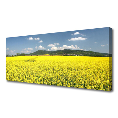 Foto op canvas Veld weide natuur koolzaad