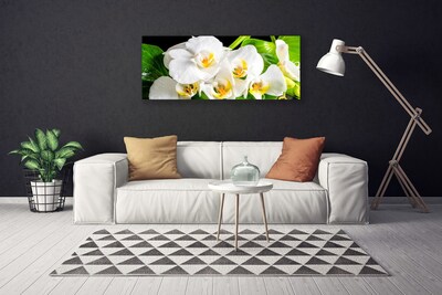 Foto op canvas Orchideebloemen nature