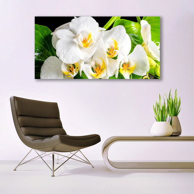 Foto op canvas Orchideebloemen nature