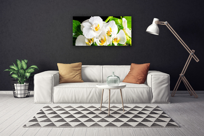 Foto op canvas Orchideebloemen nature