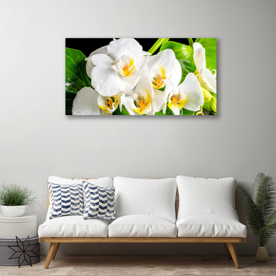 Foto op canvas Orchideebloemen nature