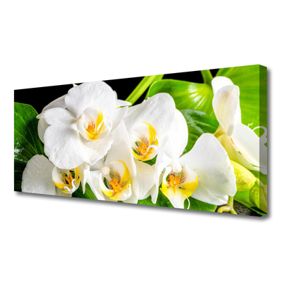 Foto op canvas Orchideebloemen nature